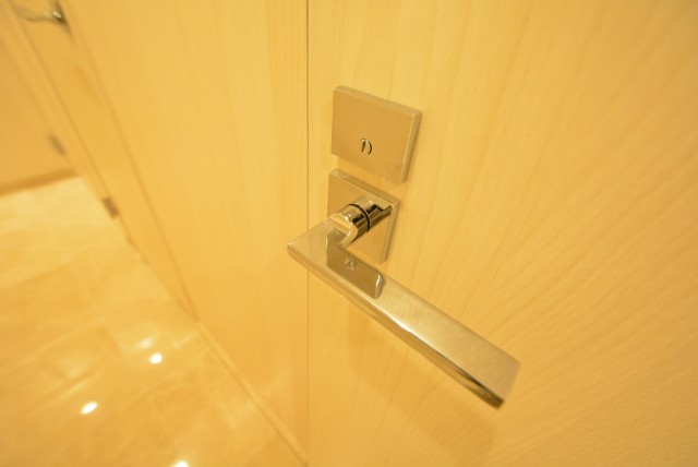 アルファホームズ深沢204　扉