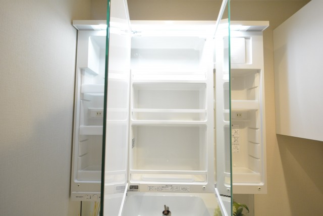 アルファホームズ深沢204　収納