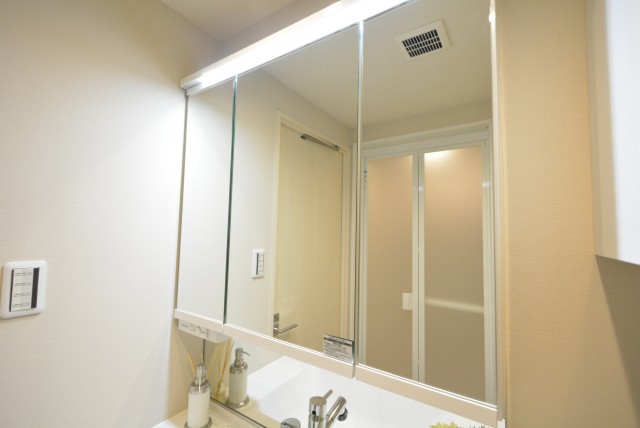 アルファホームズ深沢204　鏡