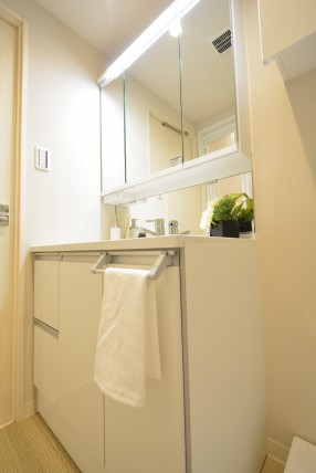 アルファホームズ深沢204　三面鏡