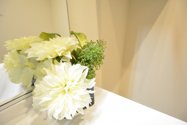 アルファホームズ深沢204　