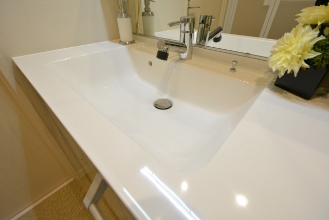 アルファホームズ深沢204　洗面台