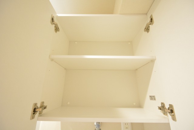 アルファホームズ深沢204　収納