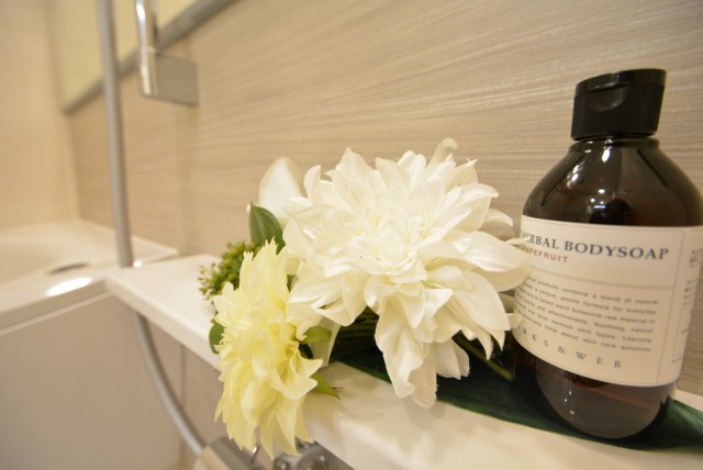 アルファホームズ深沢204