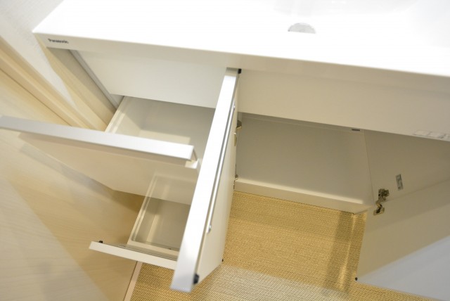 アルファホームズ深沢204　収納