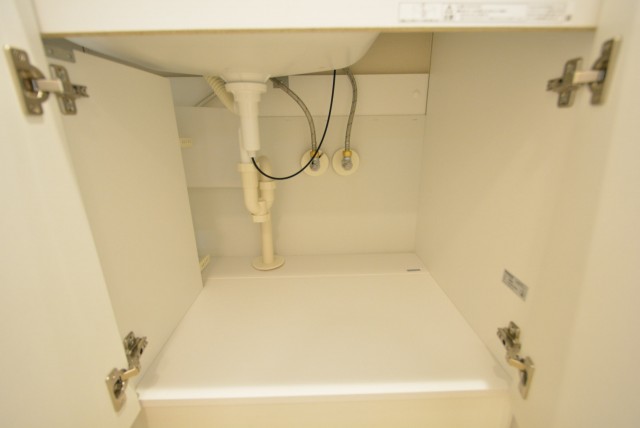 アルファホームズ深沢204　収納