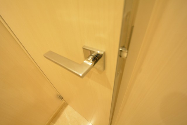 アルファホームズ深沢204　扉