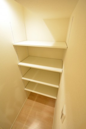 アルファホームズ深沢204　収納