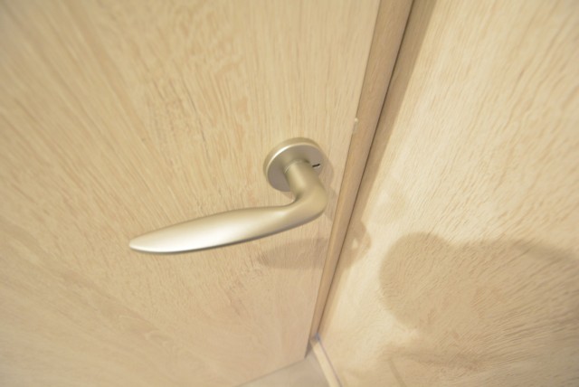 東山コーポラス409　扉