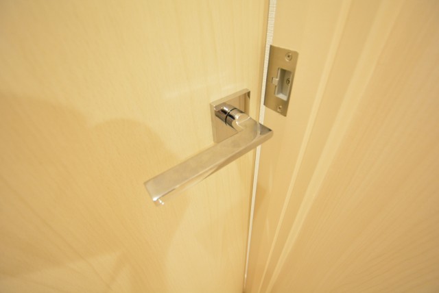 アルファホームズ深沢204　扉