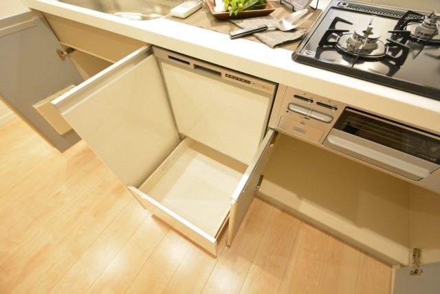 アルファホームズ深沢204　収納