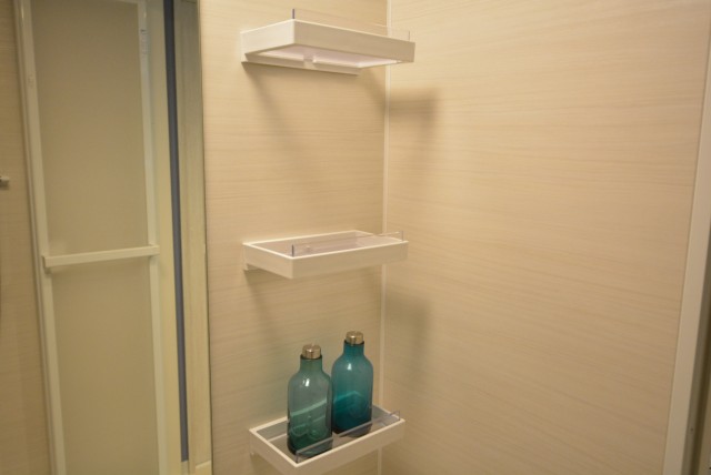 東山コーポラス409　棚