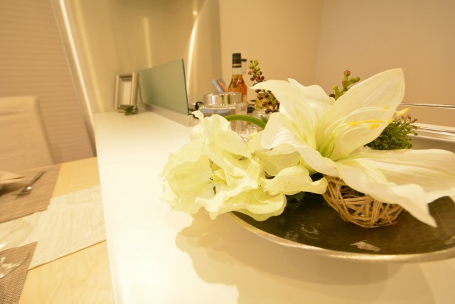 アルファホームズ深沢204　キッチンカウンター