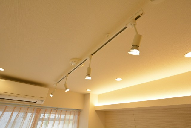 アルファホームズ深沢204　照明