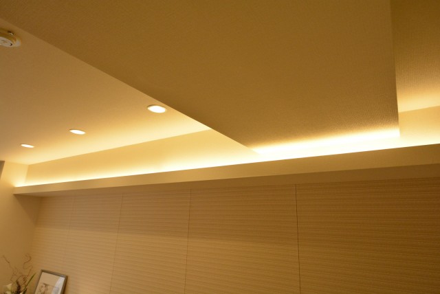 アルファホームズ深沢204　照明