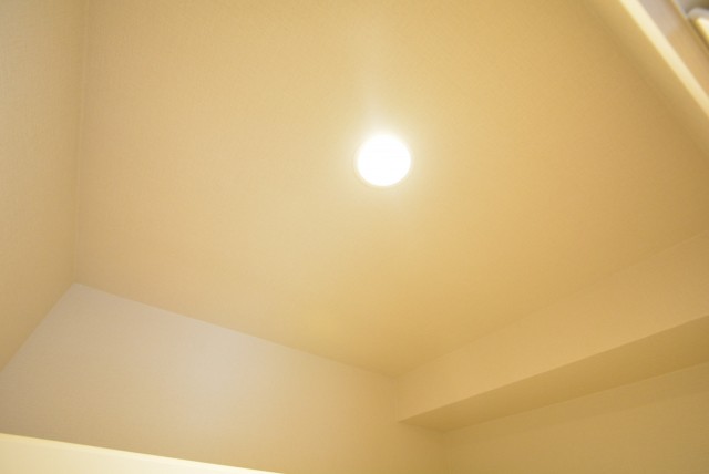 アルファホームズ深沢204　照明