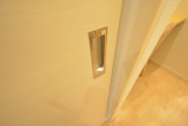 アルファホームズ深沢204　扉