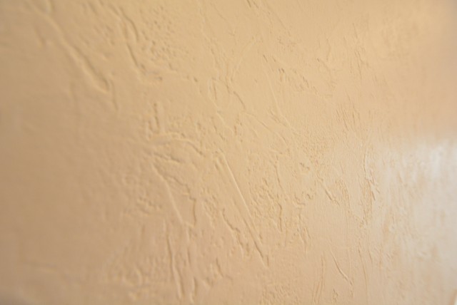 日商岩井第２自由が丘マンション703　壁紙