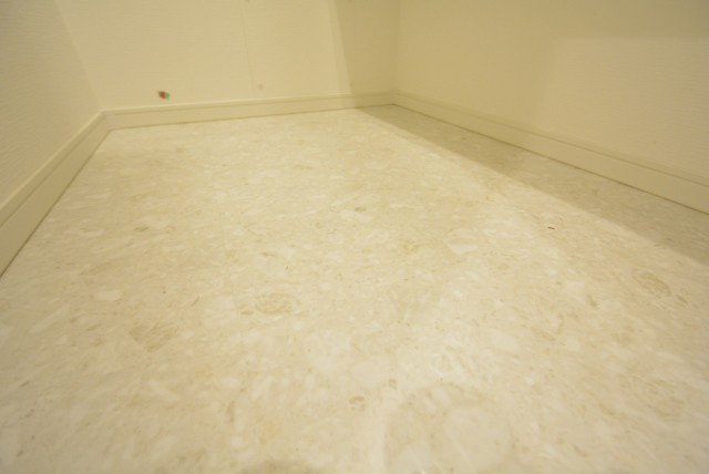 ニュー上馬マンション601　床