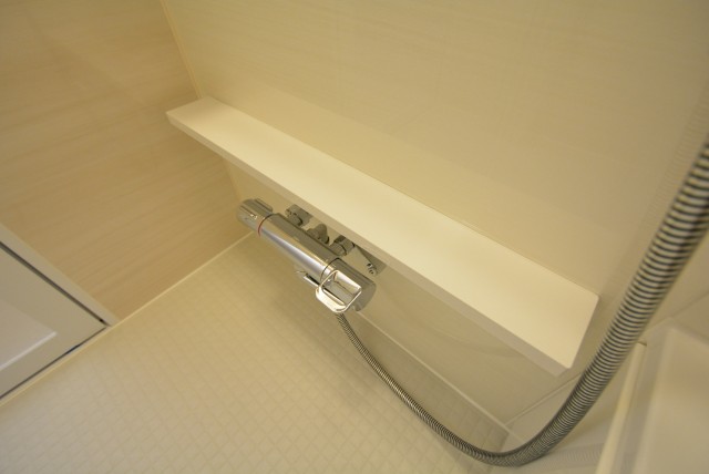 都立大コーポラス205　棚