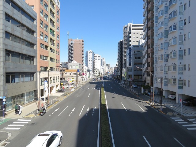 デュオスカーラ品川中延　前面道路