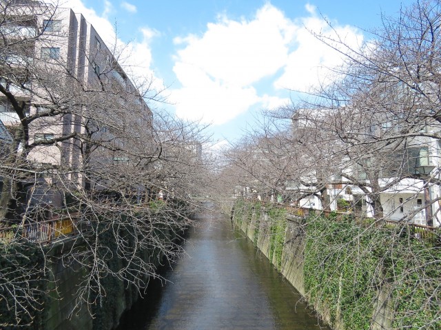 藤和シティホームズ目黒青葉台　周辺