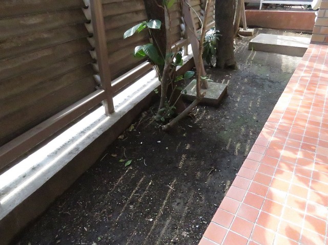 ハイラーク八雲　専用庭