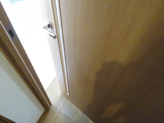 ニックハイム尾山台　DK扉