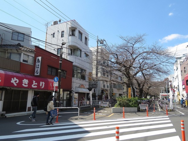 プレール都立大　周辺