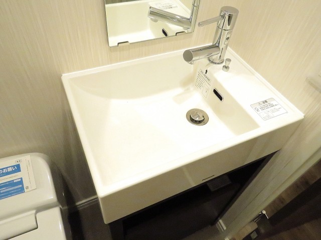 エバーグリーンパレス新宿　洗面化粧台