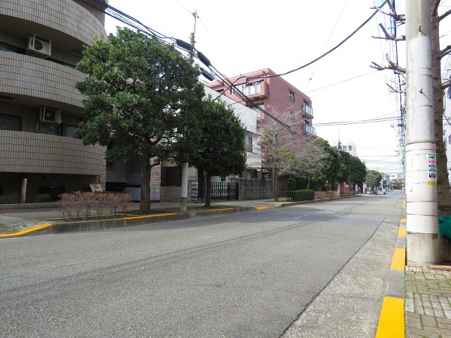 マイネシュロッス経堂　前面道路