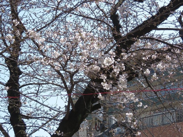 ビバリーホームズ西小山　周辺
