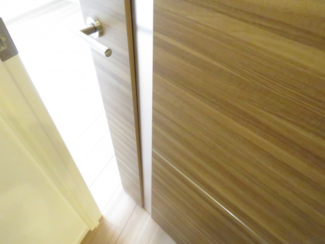 ワールドパレス第Ⅱ武蔵小山　LDK扉