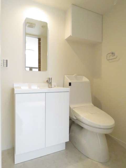 ワールドパレス第Ⅱ武蔵小山　洗面化粧台とトイレ