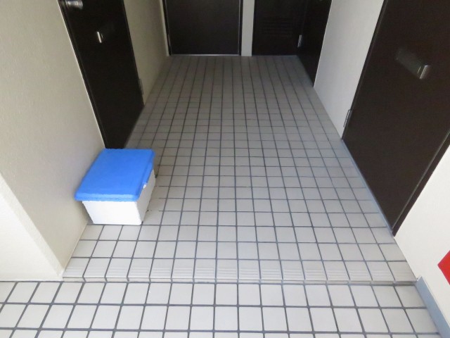 ワールドパレス第Ⅱ武蔵小山　共用廊下