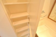 日神デュオステージ新宿若松町 洗面