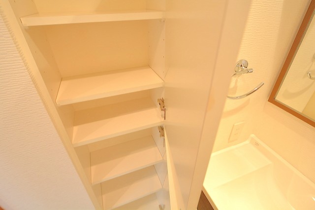 日神デュオステージ新宿若松町 洗面