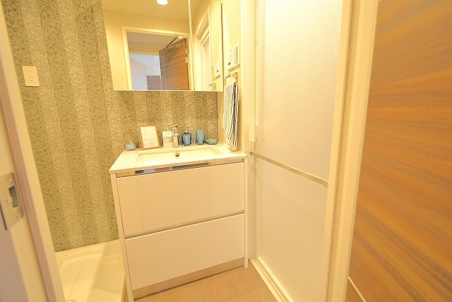 自由ヶ丘ハイタウン 洗面