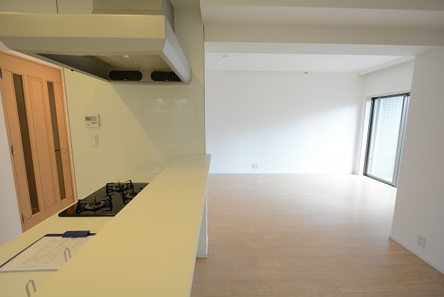 上野毛南パークホームズ LD