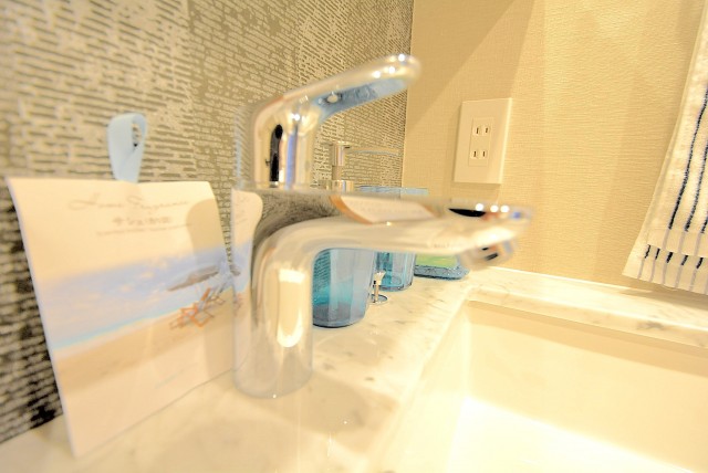 自由ヶ丘ハイタウン 洗面