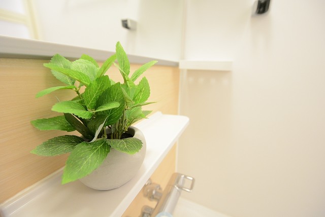 フェルテシモ祐天寺 バス