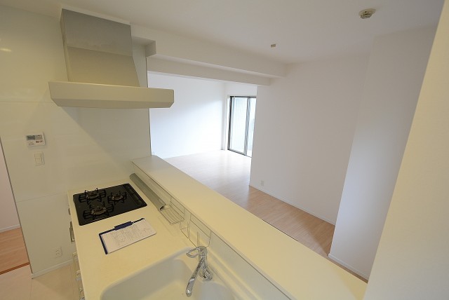 上野毛南パークホームズ キッチン