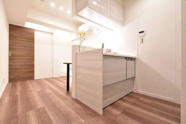 バロール代々木 DK