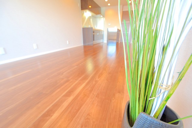 自由ヶ丘ハイタウン LD