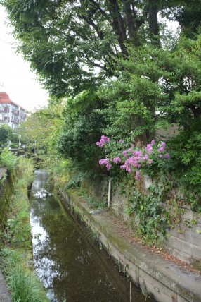 アトラス二子玉川園 道中