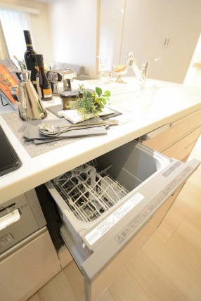 アトラス二子玉川園 キッチン