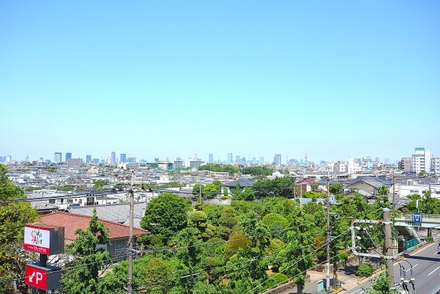 自由が丘ハイタウン 玄関