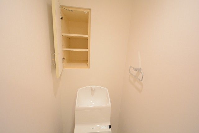 上野毛南パークホームズ トイレ