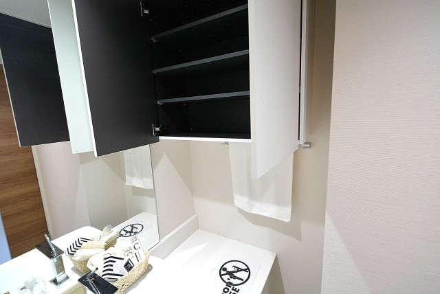 中銀若林マンシオン 洗面