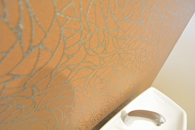 大橋団地 トイレ